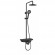 Душевая система WW DP 1020 BL Черный